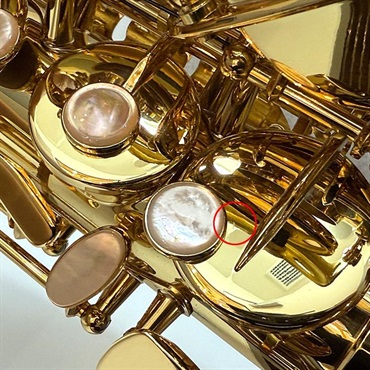 Selmer Paris 【チョイキズ特価】 アルトサックス セルマー SA-80II