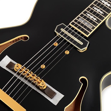 Ibanez ARTSTAR PM3C-BKL (Black Low Gloss) [Pat Metheny Model] [SPOT MODEL] 画像3