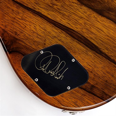P.R.S. Private Stock #11651 McCarty 594 Semi-Hollow McCarty Glow 【PRS直筆サイン入り】 画像7