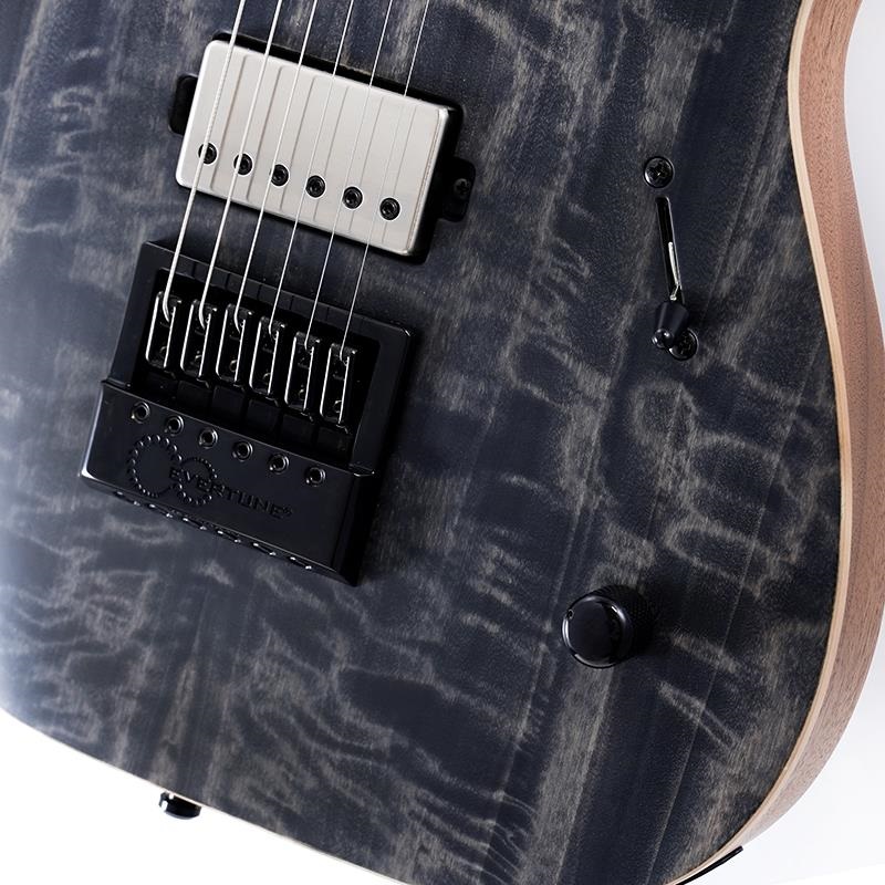 MAYONES Duvell Elite 4Ever 6 (Trans Graphite Satine) ｜イケベ楽器