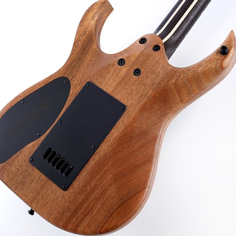 MAYONES Duvell Elite 4Ever 6 (Trans Graphite Satine) ｜イケベ楽器