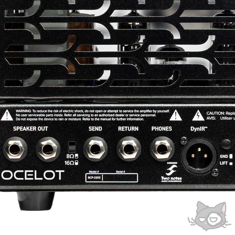 Bad Cat OCELOT (オセロット) ※2025年9月発売予定 画像6