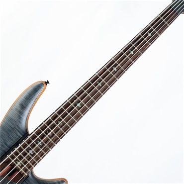 Ibanez SR1455DW-TGF 【国内イケベ独占販売限定モデル / イケベ50周年特別キャンペーン】 画像2