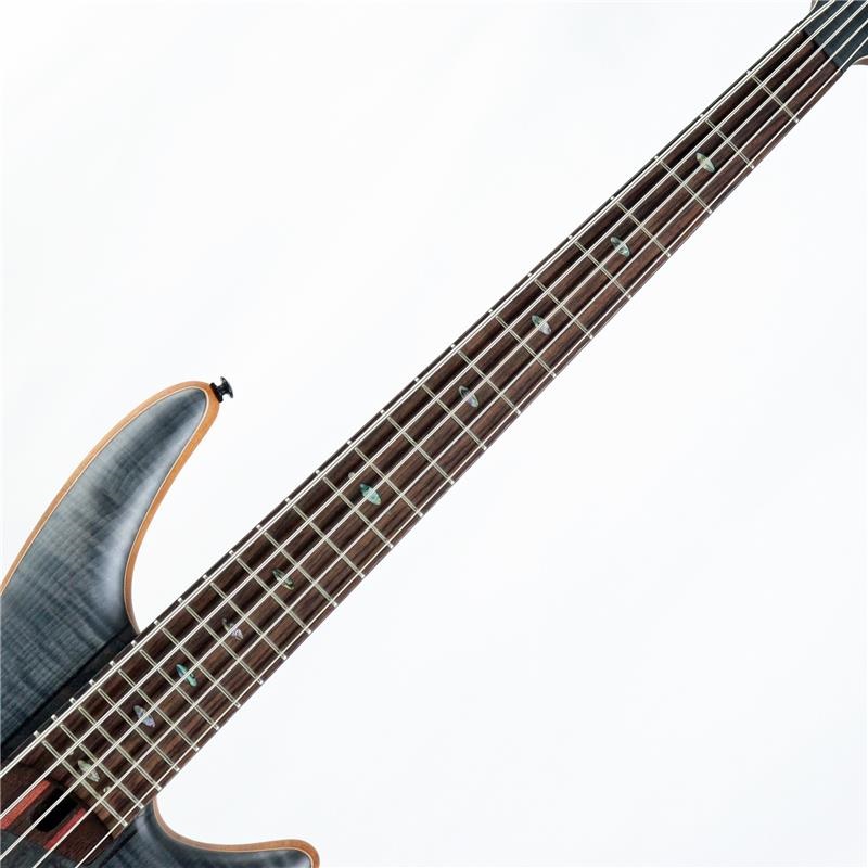 Ibanez SR1455DW-TGF 【国内イケベ独占販売限定モデル / イケベ50周年特別キャンペーン】 画像2