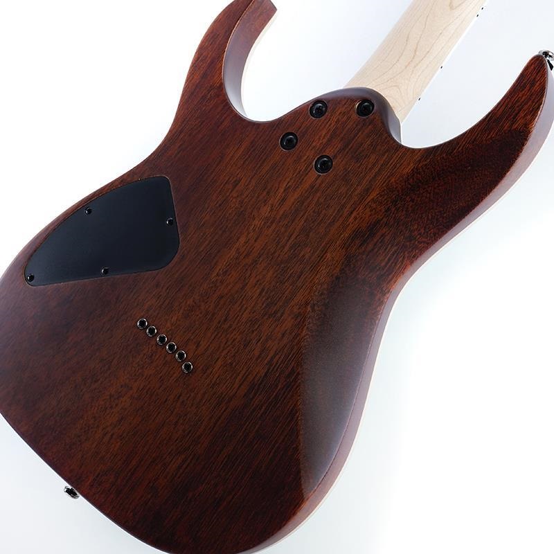 Ibanez RG421S-SEM (Sea Shore Matte) [SPOT MODEL] ｜イケベ楽器店