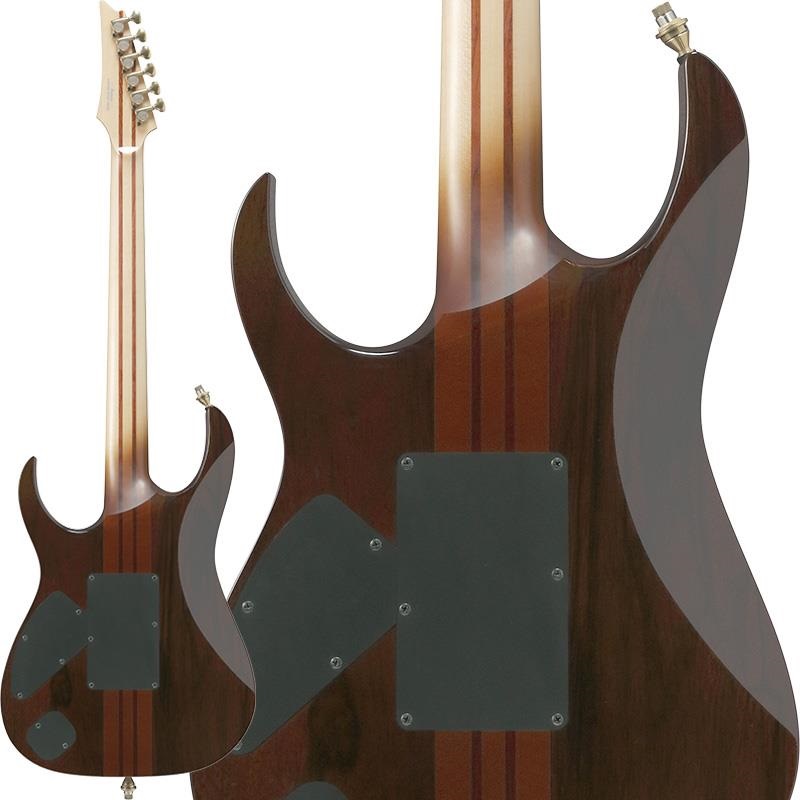 Ibanez VISIONS IV1RG 【受注生産品】 画像1