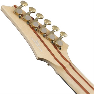 Ibanez VISIONS IV1RG 【受注生産品】 画像5