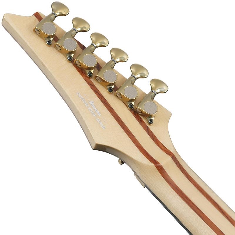 Ibanez VISIONS IV1RG 【受注生産品】 画像5