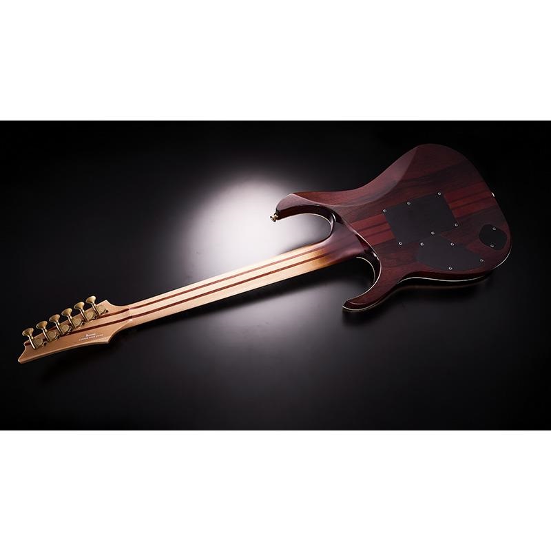 Ibanez VISIONS IV1RG 【受注生産品】 画像8