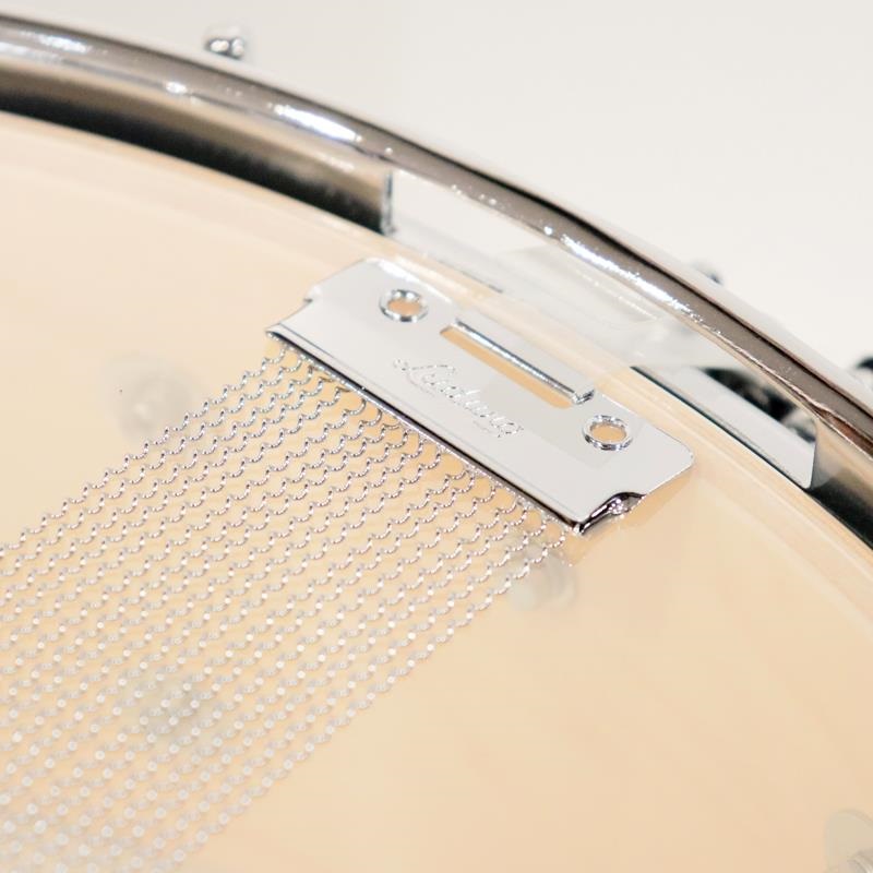 Ludwig LS401XX1Q [Classic Maple 14''×5'' Snare Drum - Vintage Black Oyster] 画像6