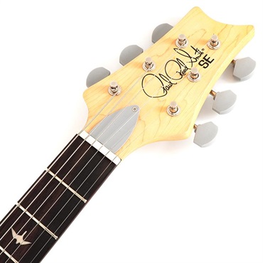 P.R.S. SE Silver Sky Rosewood (Laurel Green) CTIH026653 【2025年生産品】 画像6