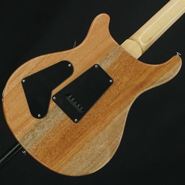 P.R.S. USED 中古 SE Custom 24 2022 (Faded Blue)［SN.CTI E099910］ Paul Reed Smith ポールリードスミス 画像1