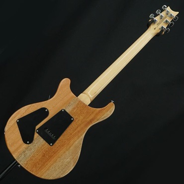 P.R.S. USED 中古 SE Custom 24 2022 (Faded Blue)［SN.CTI E099910］ Paul Reed Smith ポールリードスミス 画像3
