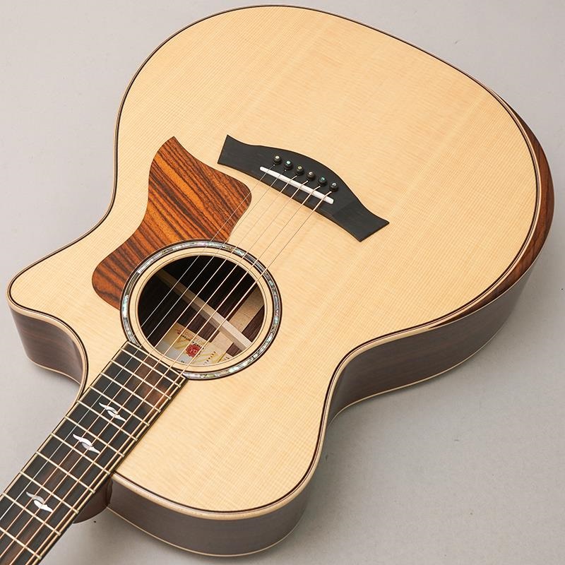 とにーTaylor アコースティックギター エレクトリック搭載 900 Series アコースティックギター | Taylor Guitars