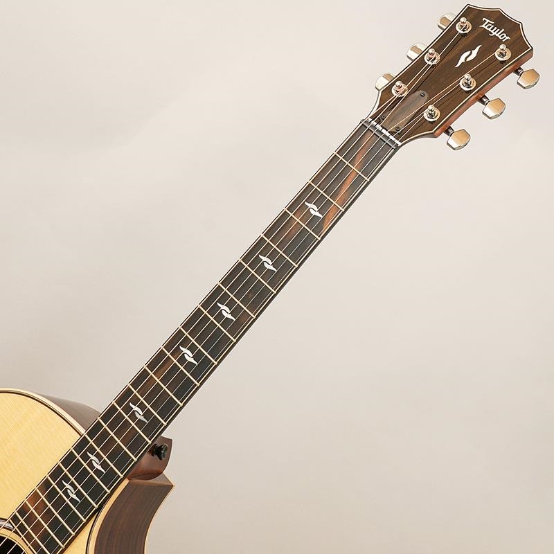 管楽器・吹奏楽器 Taylor E-ML 管楽器・吹奏楽器 Taylor E-ML Amazon | トロンボーン楽器