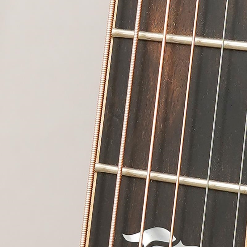 TAYLOR 【チョイキズ特価】 814c テイラー ｜イケベ楽器店