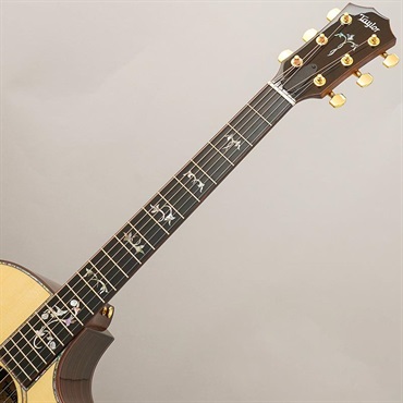 TAYLOR Legacy 914ce テイラー 画像8