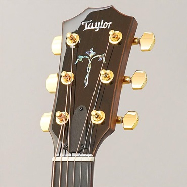 TAYLOR Legacy 914ce テイラー 画像10