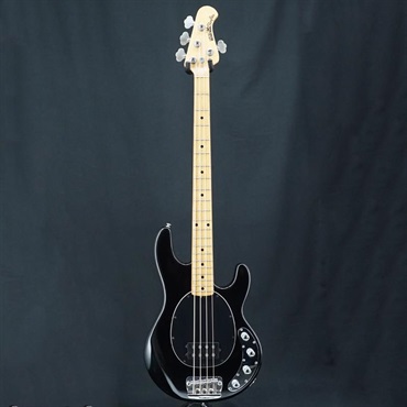 MUSICMAN USED 中古 StingRay EX (Black/Maple) ｜イケベ楽器店