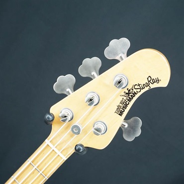 MUSICMAN USED 中古 StingRay EX (Black/Maple) ｜イケベ楽器店