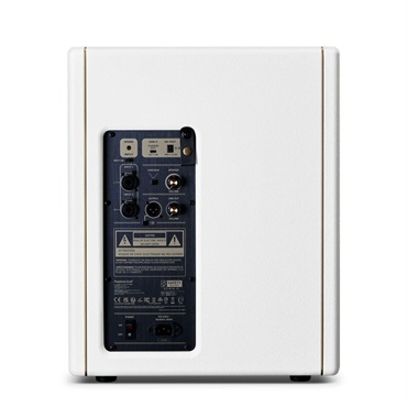 Positive Grid Spark CAB Pearl[140Wパワード・キャビネット]（ポジティブ ポジティヴ グリッド） 画像1