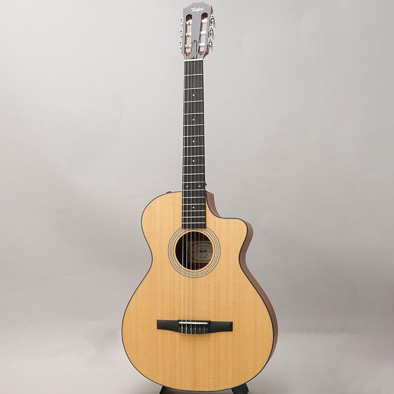 TAYLOR 112ce-N (エレガットモデル) テイラー ｜イケベ楽器店