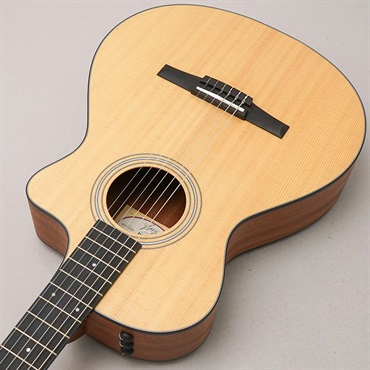 TAYLOR 112ce-N (エレガットモデル) テイラー 画像4