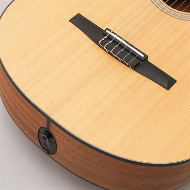 TAYLOR 112ce-N (エレガットモデル) テイラー 画像7