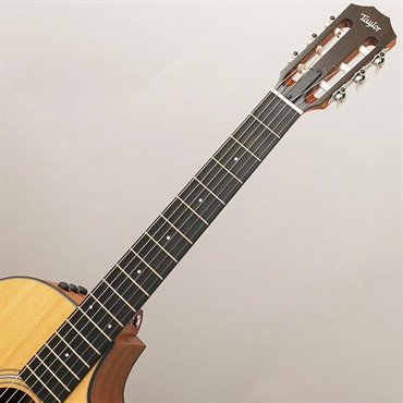TAYLOR 112ce-N (エレガットモデル) テイラー 画像8