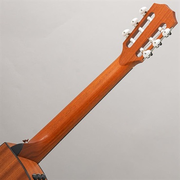 TAYLOR 112ce-N (エレガットモデル) テイラー 画像9