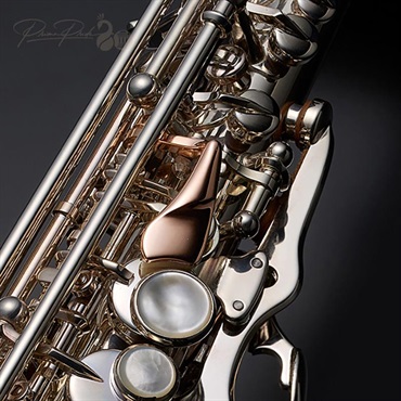 YANAGISAWA 【9月20日発売開始予定】【プリマ楽器創業80周年記念限定モデル】ソプラノサックス プリマ・ヤナギサワ 「孔雀の誇り」（Kujaku-no-Hokori）【調整&セットアップ後出荷】【5年間キーバランス調整無料】 画像3