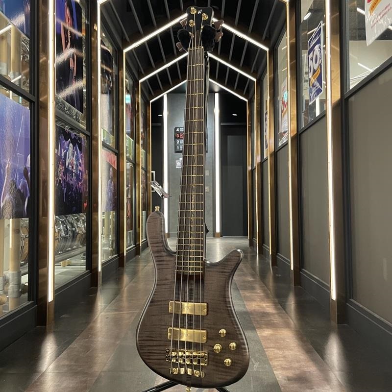 Warwick Custom Shop Streamer Stage I 5st (Nirvana Black