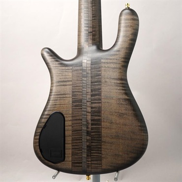 Warwick Custom Shop Streamer Stage I 5st (Nirvana Black Transparent Satin/Gold Hardware) 画像2