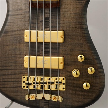 Warwick Custom Shop Streamer Stage I 5st (Nirvana Black Transparent Satin/Gold Hardware) 画像8