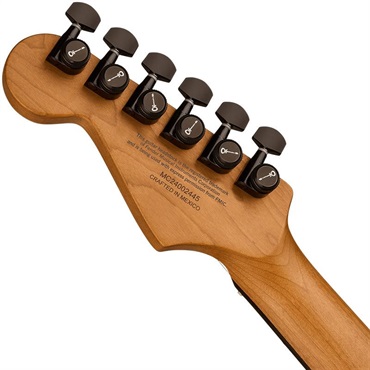 Charvel Pro-Mod Plus So-Cal Style 1 HH HT E (Scorched Earth/Ebony) 画像5