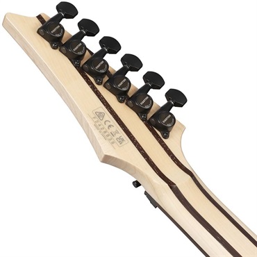 Ibanez 【9月20日入荷予定】 j.custom Axe Design Lab RG8870-SDE (Sodalite) [SPOT MODEL] 画像5