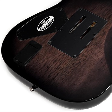 SCHECTER Hellraiser Hybrid C-1 FR [AD-C-1-FR-HR-HB] (TBB) 画像7