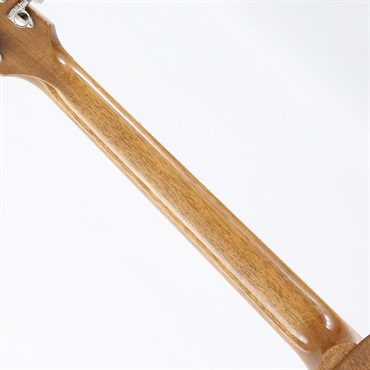 Gibson Les Paul Standard '60s Double Trouble (Vintage Cherry Burst) [SN.220250133] 画像6