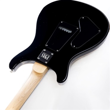 P.R.S. CE 24 Special Limited Edition (Faded Gray Black) SN.0412366 2025年生産品 画像6