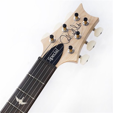 P.R.S. CE 24 Special Limited Edition (Faded Gray Black) SN.0412366 2025年生産品 画像8