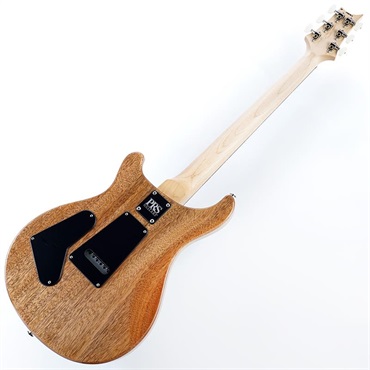 P.R.S. CE 24 Special Limited Edition (Carroll Blue) SN.0412969 画像2