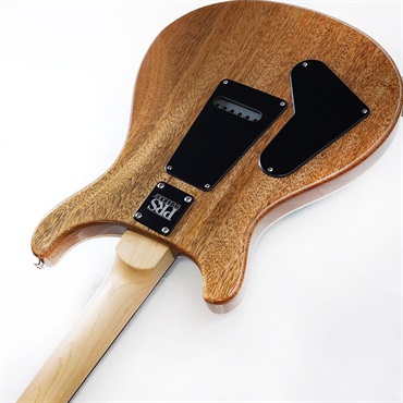 P.R.S. CE 24 Special Limited Edition (Carroll Blue) SN.0412969 画像6