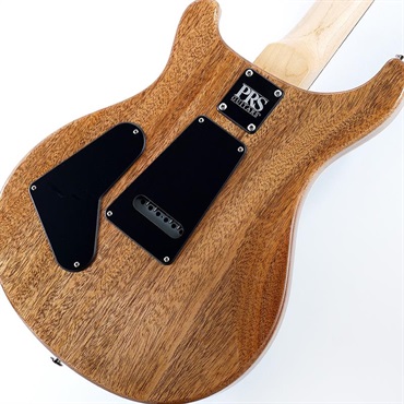 P.R.S. CE 24 Special Limited Edition (Carroll Blue) SN.0412969 画像7