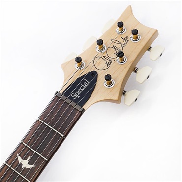 P.R.S. CE 24 Special Limited Edition (Carroll Blue) SN.0412969 画像8