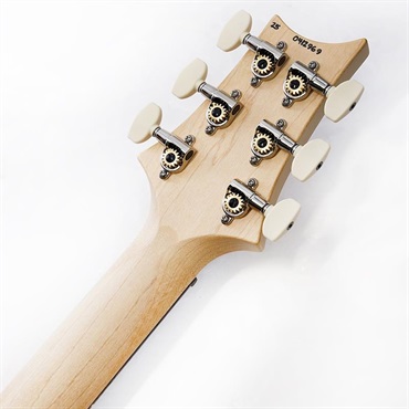 P.R.S. CE 24 Special Limited Edition (Carroll Blue) SN.0412969 画像9