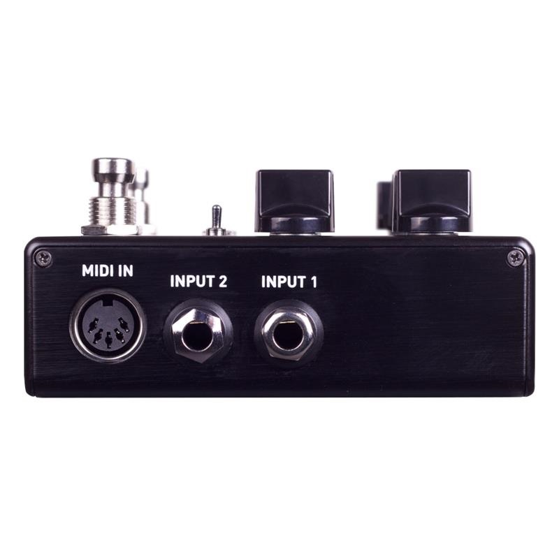 SOURCE AUDIO 【9月27日発売予定】　SA264 ENCOUNTER Ambient Delay+Reverb 画像1