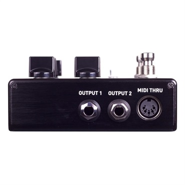 SOURCE AUDIO 【9月27日発売予定】　SA264 ENCOUNTER Ambient Delay+Reverb 画像2