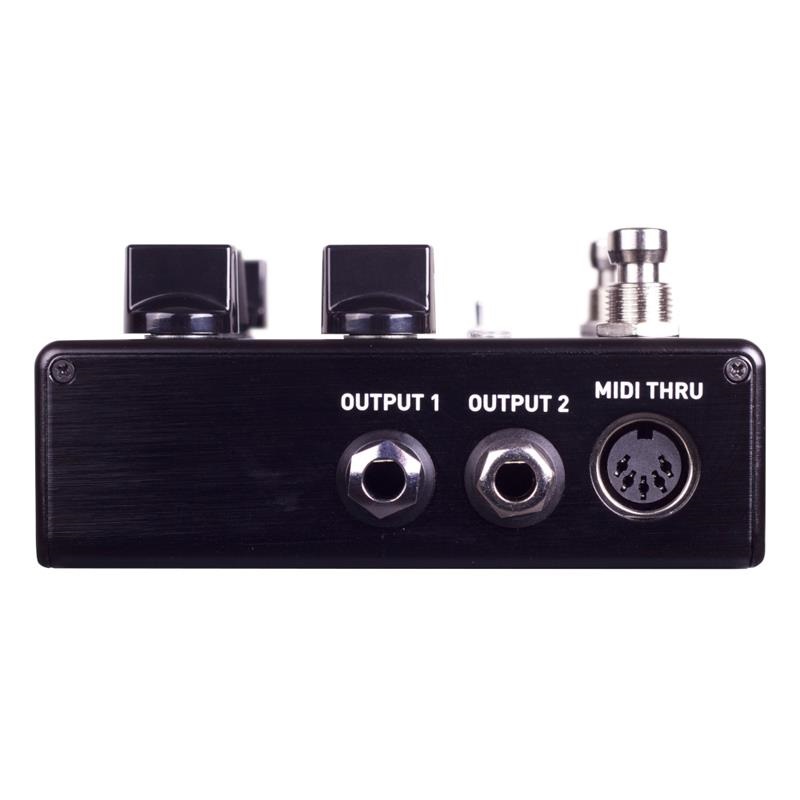 SOURCE AUDIO 【9月27日発売予定】　SA264 ENCOUNTER Ambient Delay+Reverb 画像2