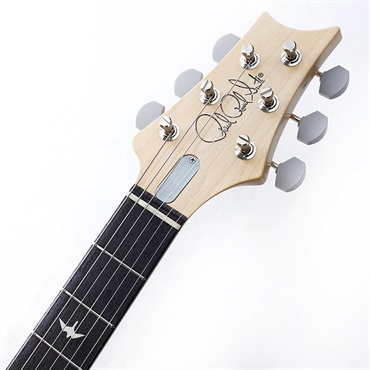 P.R.S. Silver Sky Rosewood (Polar Blue) 画像8