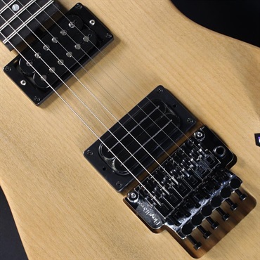 Washburn USA N4-NUNO VINTAGE USA #2505533 ｜イケベ楽器店オンライン